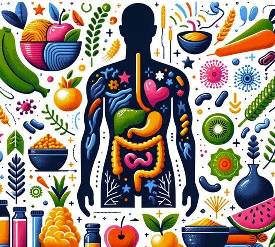 How to Improve Your Gut Health