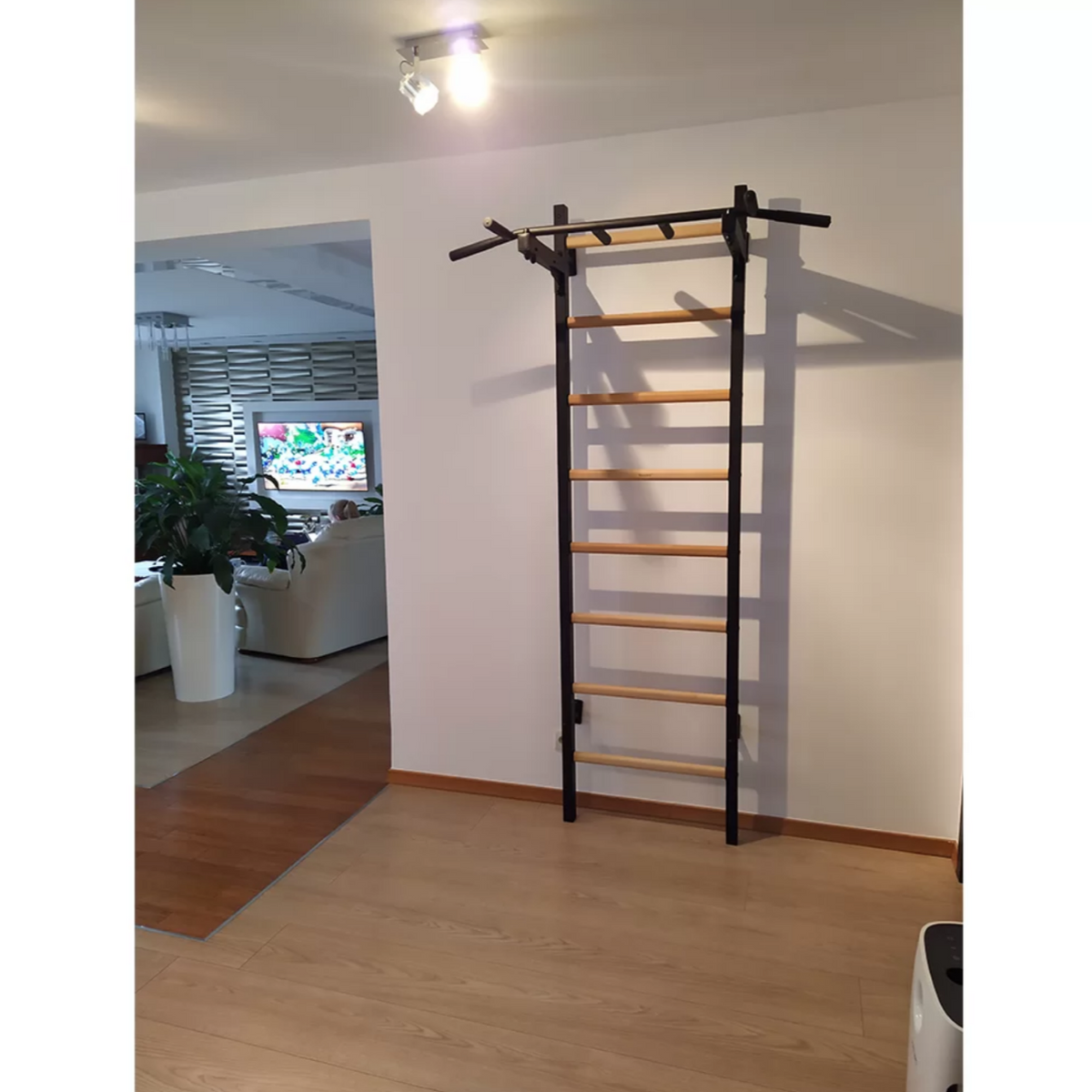 BenchK 221 Wall Bars and Gymnastic Ladders black version installed in a living room.