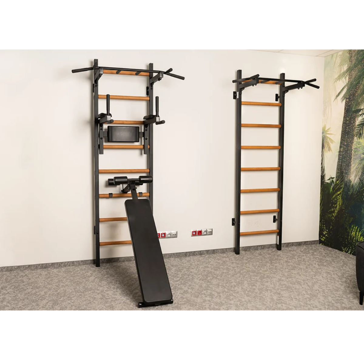 Set of two BenchK 223 Wall Bars &amp; Gymnastic Ladders black version in a gym.