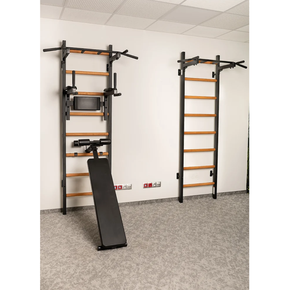 Set of two BenchK 223 Wall Bars &amp; Gymnastic Ladders black version in a gym.