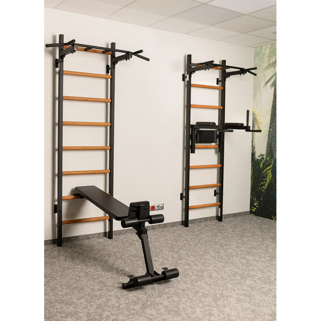 Set of two BenchK 223 Wall Bars &amp; Gymnastic Ladders black version in a gym.