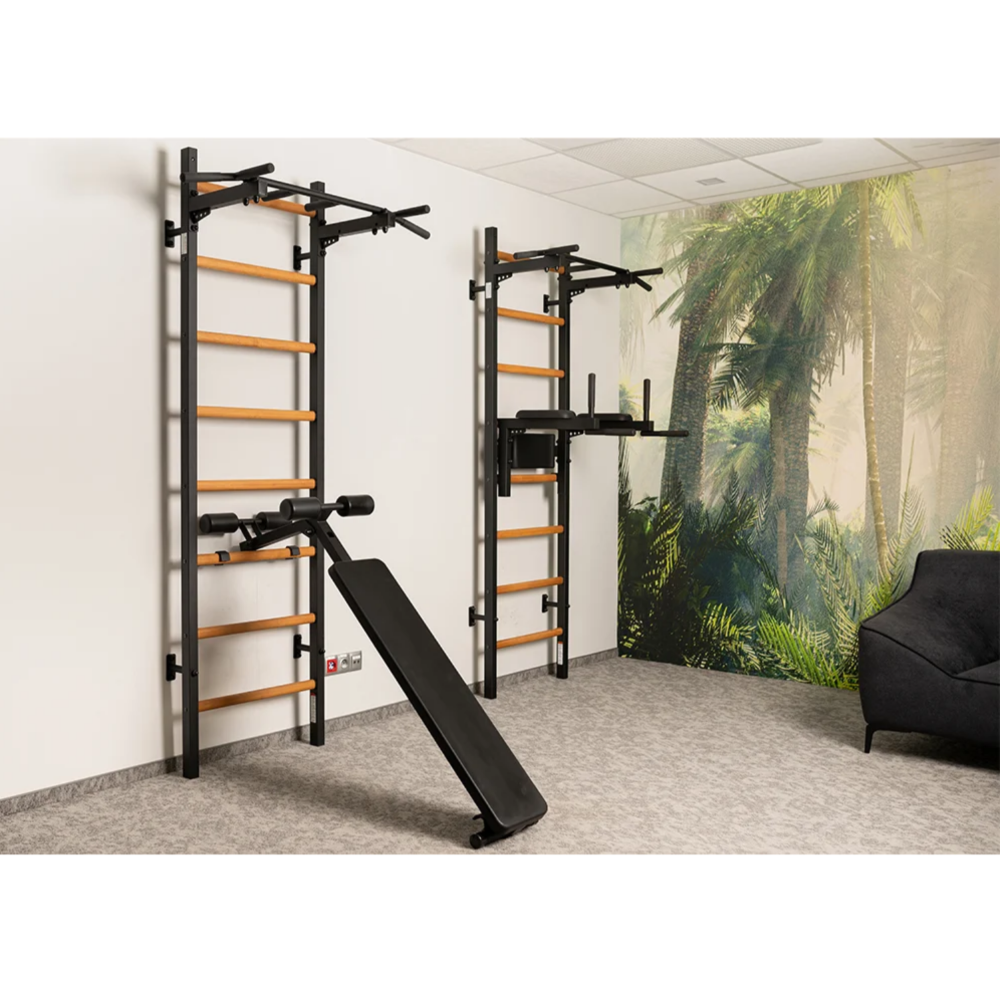 Set of two BenchK 223 Wall Bars &amp; Gymnastic Ladders black version in a gym.