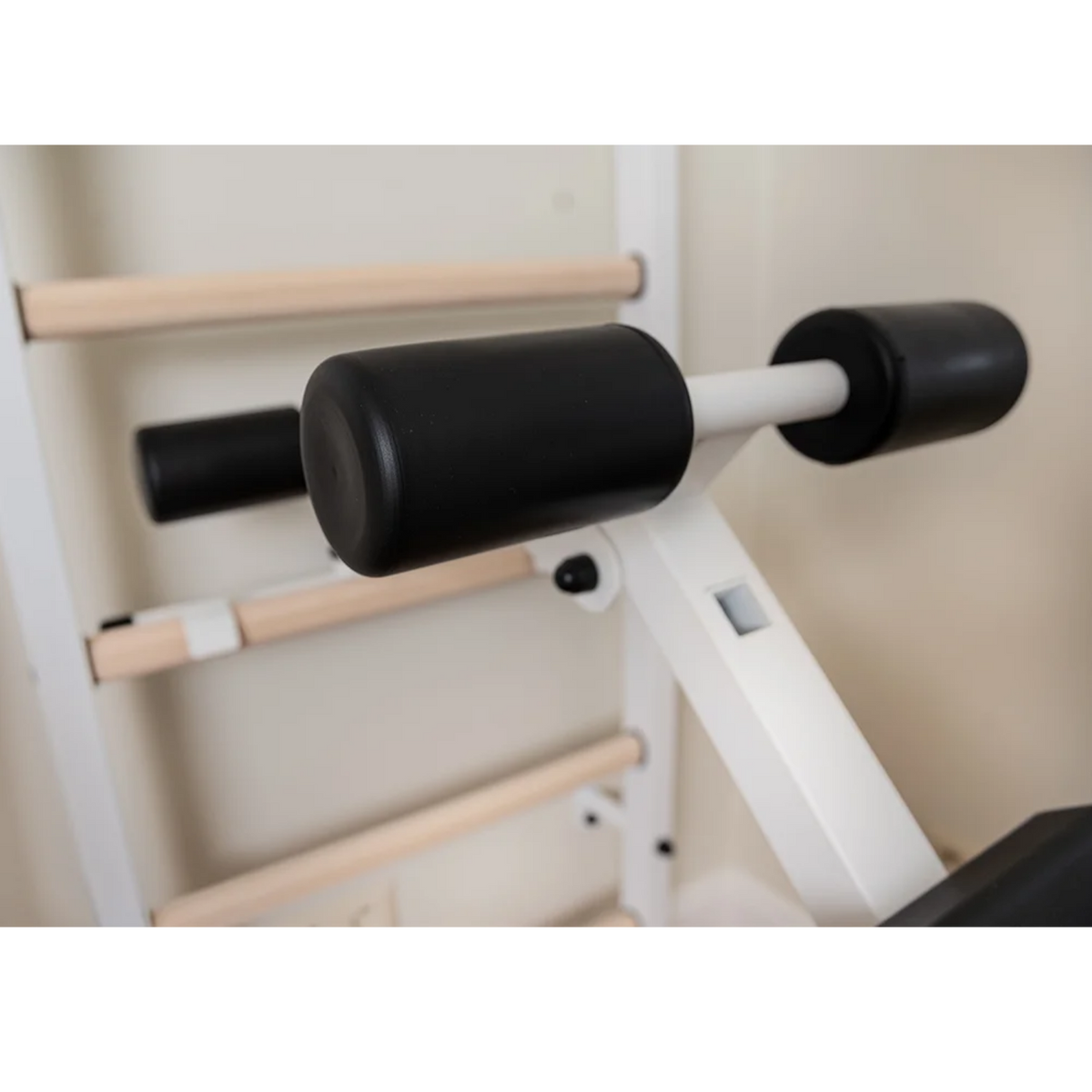 Close-up view of workout bench of BenchK 223 Wall Bars &amp; Gymnastic Ladders white version.