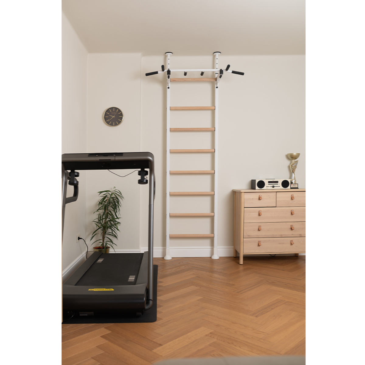 BenchK 521 Wall Bars and Gymnastic Ladders white version with pull-up bar installed in a home gym.