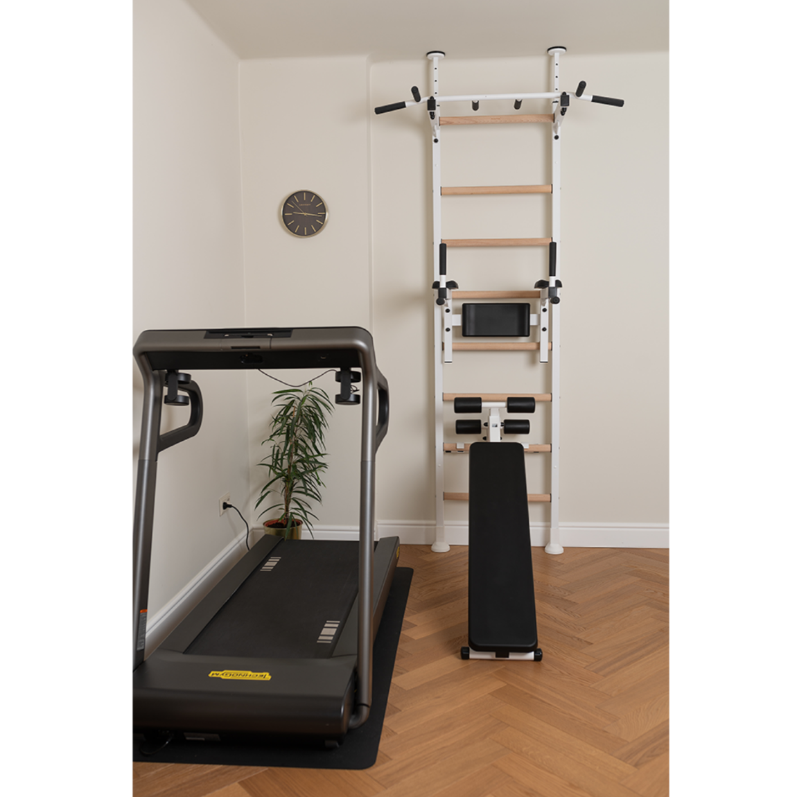 BenchK 523 Wall Bars and Gymnastic Ladders white version installed in a home gym.