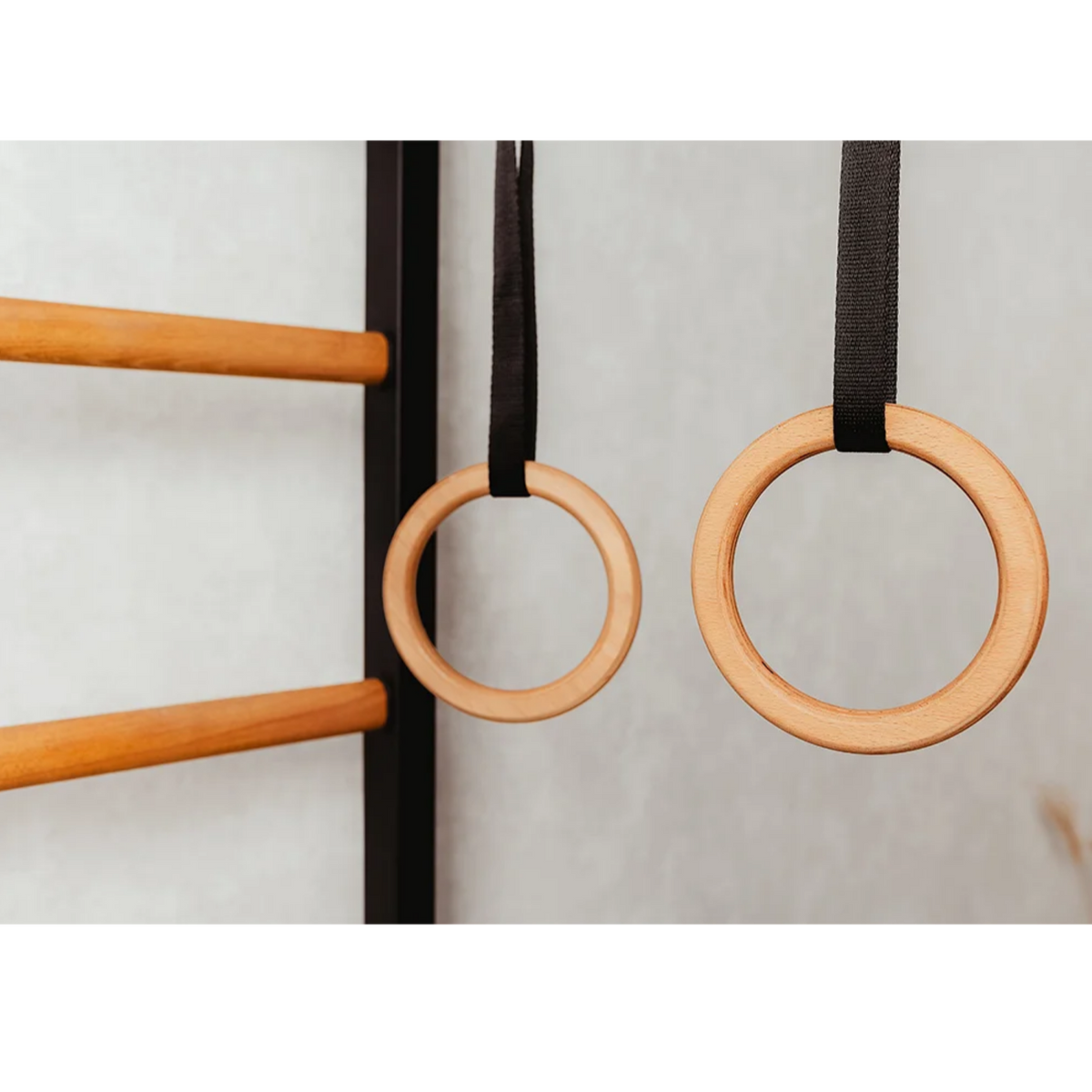 Wooden rings of BenchK 721 Wall Bars + A076/A204 Gymnastic Accessories black version.