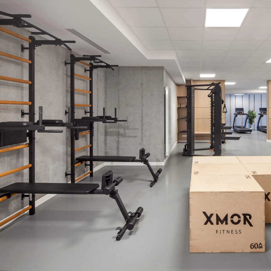 Set of two BenchK 723 Wall Bars and Gymnastic Ladders black version in a commercial gym.