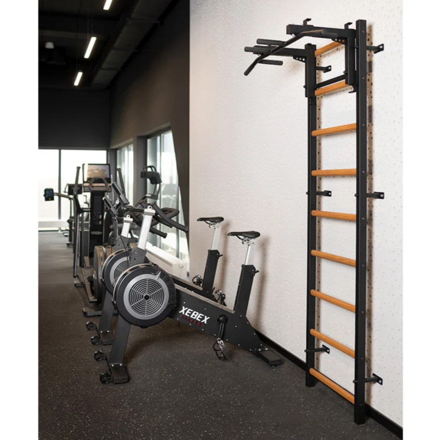 BenchK 731 Wall Bars and Gymnastic Ladders black version with pull-up bar and barbell holder installed in a commercial gym.