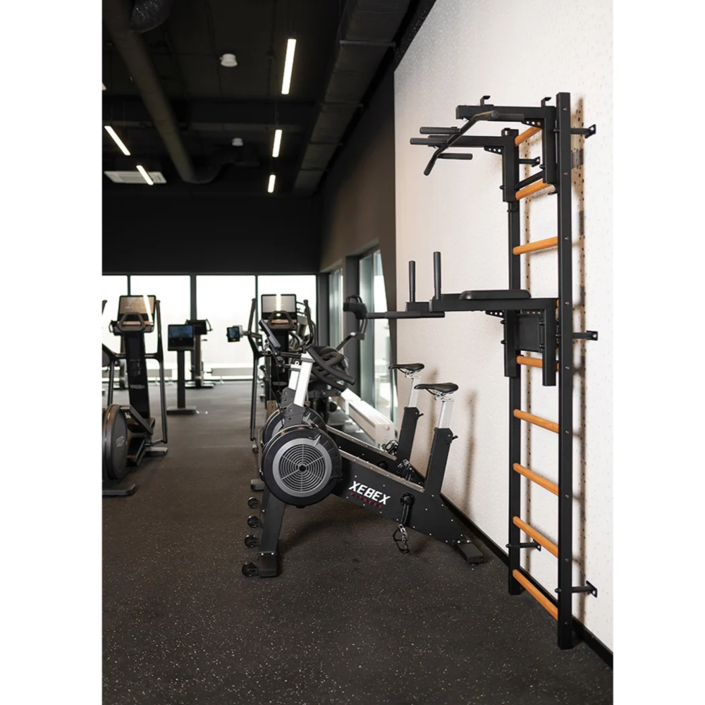 BenchK 732 Wall Bars and Gymnastic Ladders black version with pull-up bar and dip-bar with back support and armrest installed in a commercial gym.