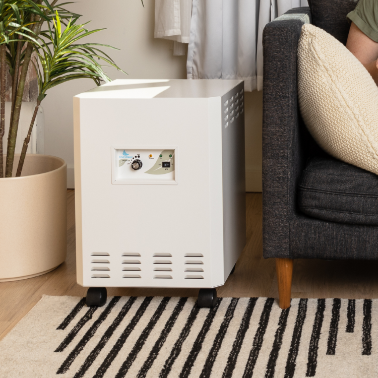 EnviroKlenz Air System Plus positioned in a cozy living room corner, blending seamlessly with the home environment.